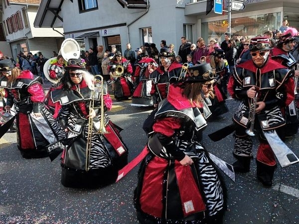 Steampunk meets Zebra Kostüm zu verkaufen.